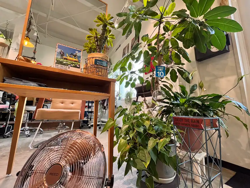 136ism のシャンプースペース。窓から光が入る木の床と観葉植物