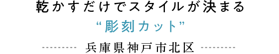 乾かすだけでスタイルが決まる“彫刻カット”